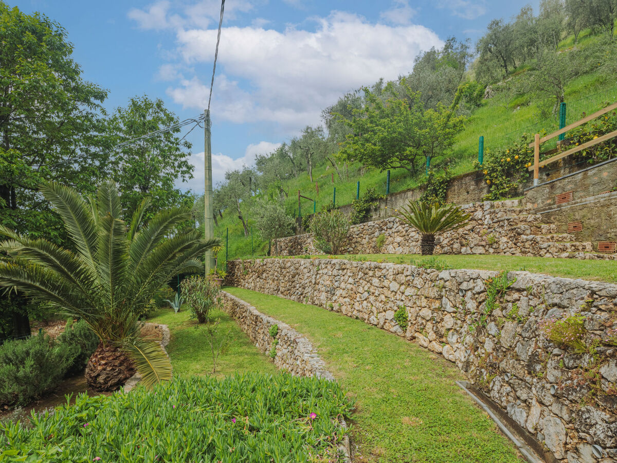 Maison Alba à Camaiore, vue montagne à 290 m d'altitude - Photo 27