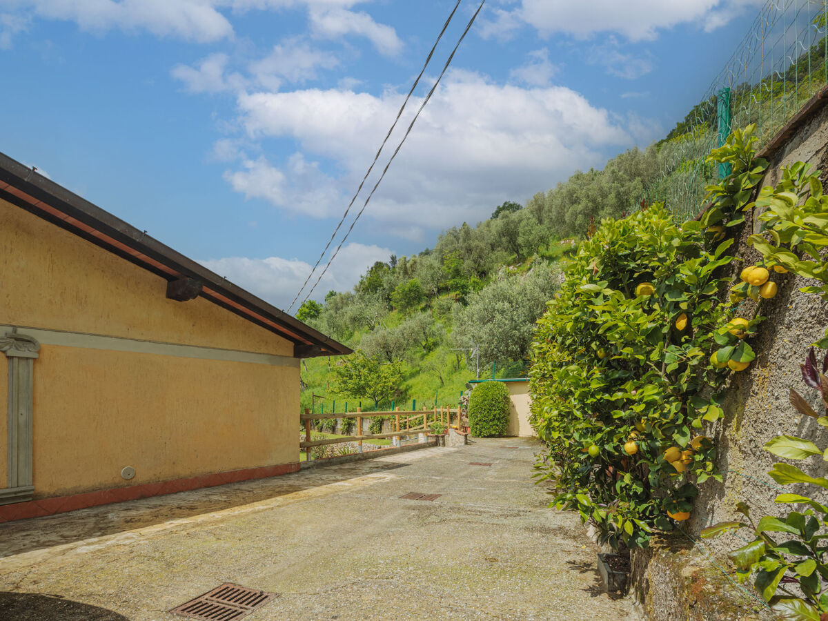 Maison Alba à Camaiore, vue montagne à 290 m d'altitude - Photo 35