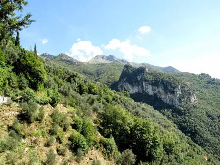L'Oliveto – Maison rustique 4 pers. en forêt près Camaiore : photo 5