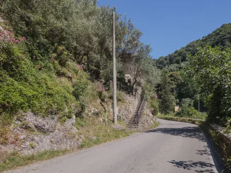 L'Oliveto – Maison rustique 4 pers. en forêt près Camaiore : photo 22