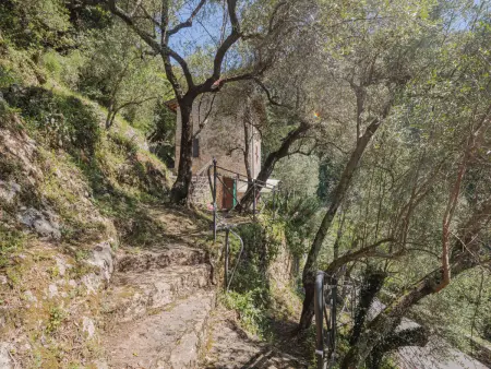 L'Oliveto – Maison rustique 4 pers. en forêt près Camaiore : photo 23
