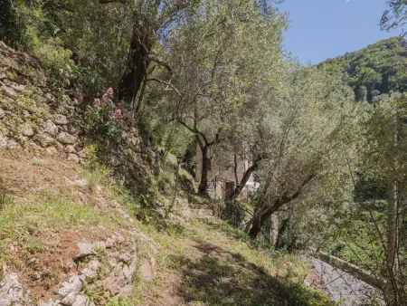 L'Oliveto – Maison rustique 4 pers. en forêt près Camaiore : photo 24