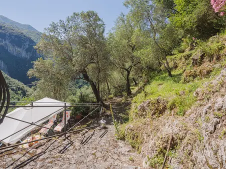 L'Oliveto – Maison rustique 4 pers. en forêt près Camaiore : photo 26