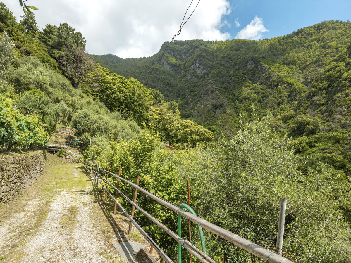 La Sperduta – Maison isolée 4 pers. à Montignoso - Photo 27