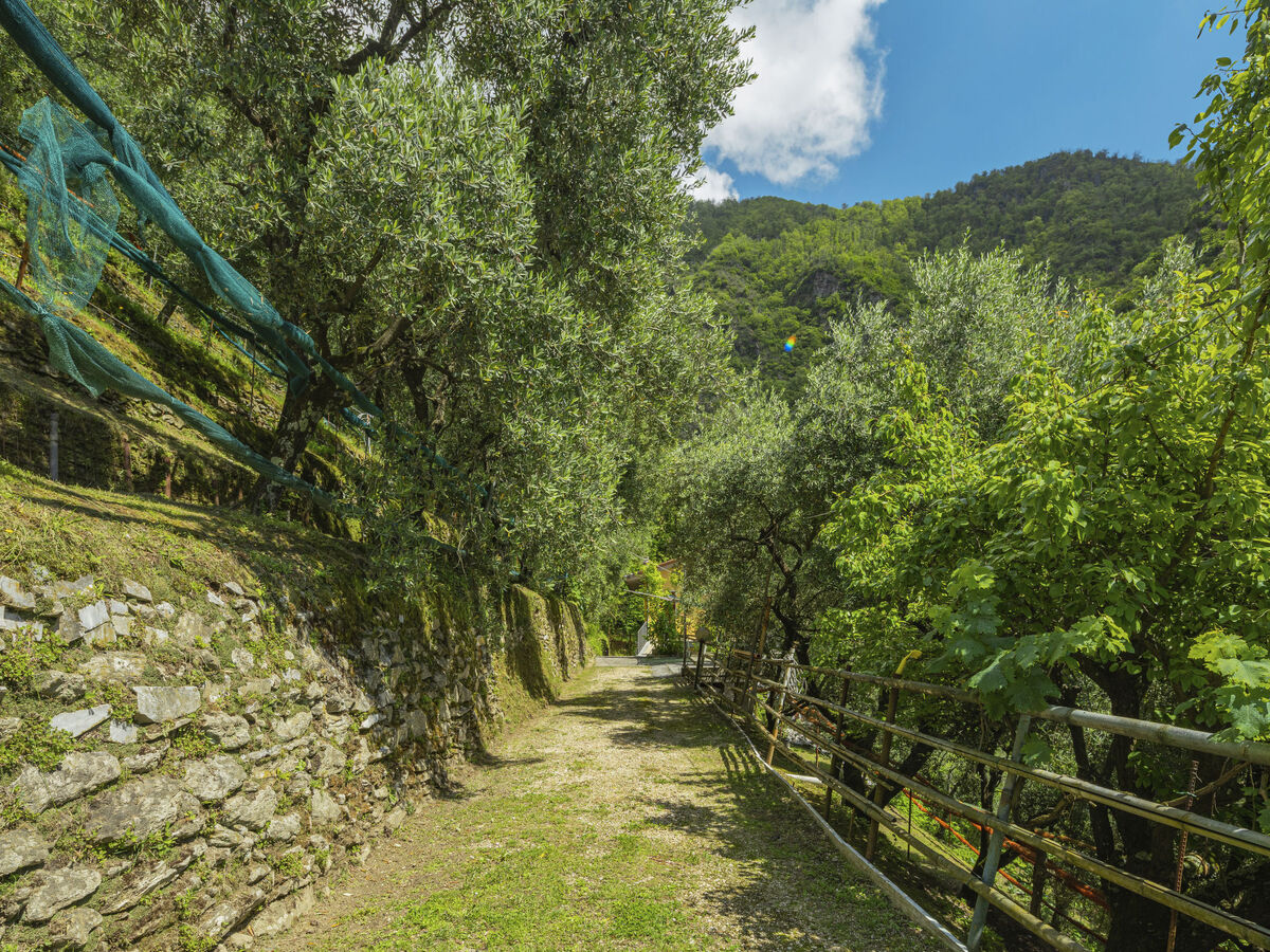 La Sperduta – Maison isolée 4 pers. à Montignoso - Photo 28