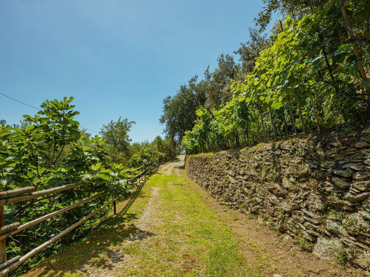 La Sperduta – Maison isolée 4 pers. à Montignoso - Photo 29
