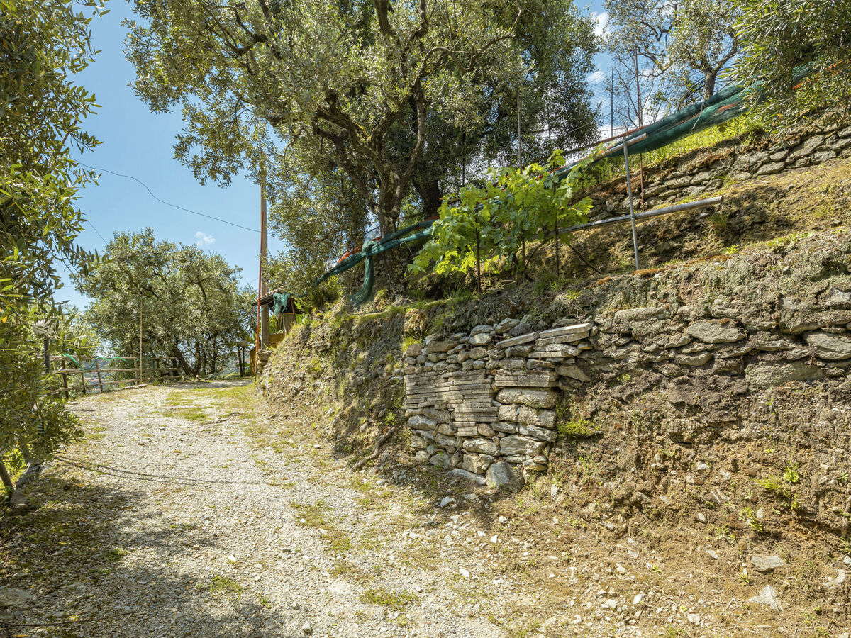 La Sperduta – Maison isolée 4 pers. à Montignoso - Photo 30