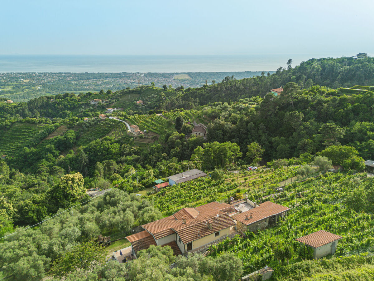 Casali, maison 5 chambres avec vue mer en Toscane - Photo 4