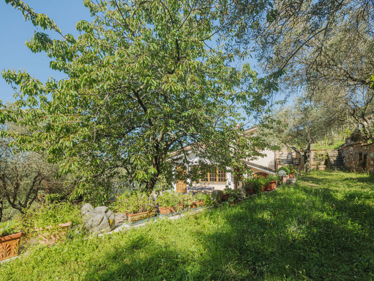 Casali, maison 5 chambres avec vue mer en Toscane - Photo 35