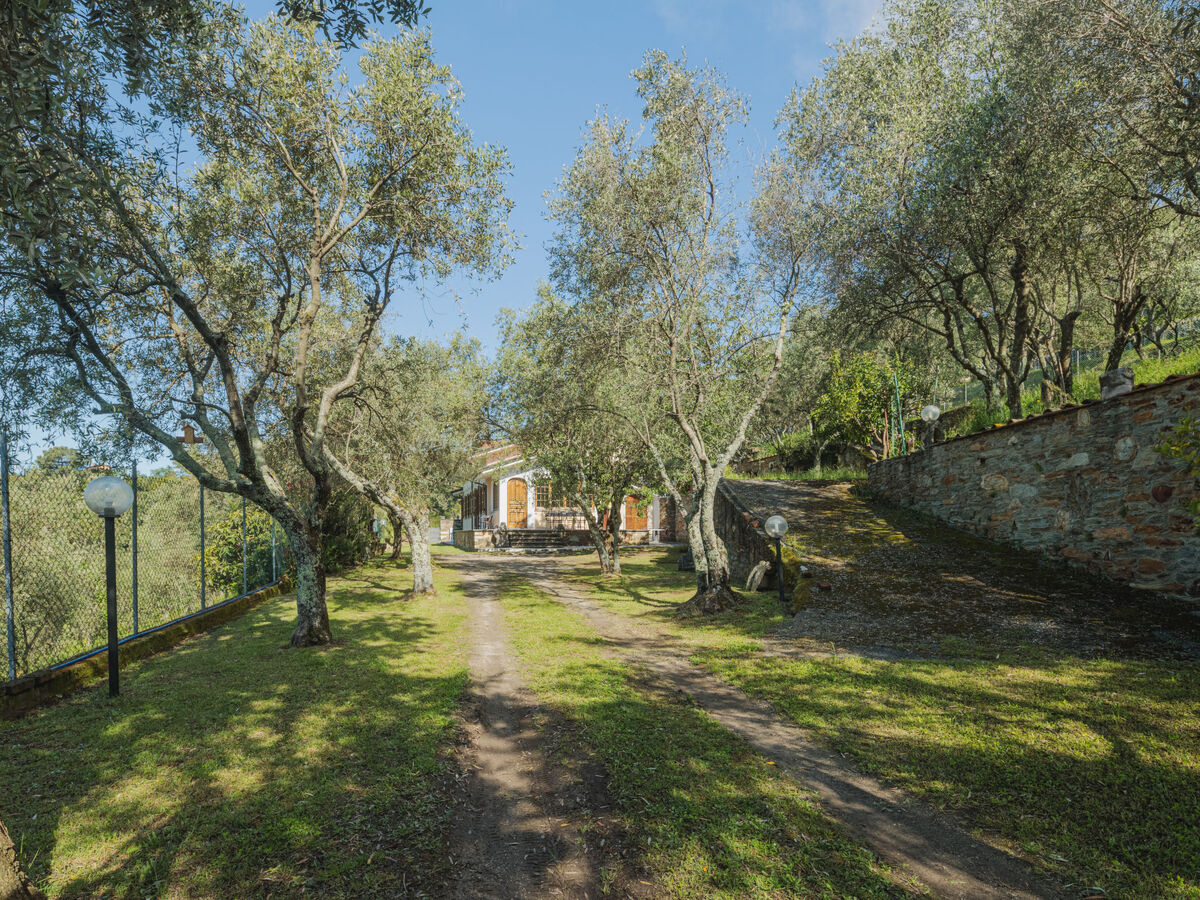 Casali, maison 5 chambres avec vue mer en Toscane - Photo 36