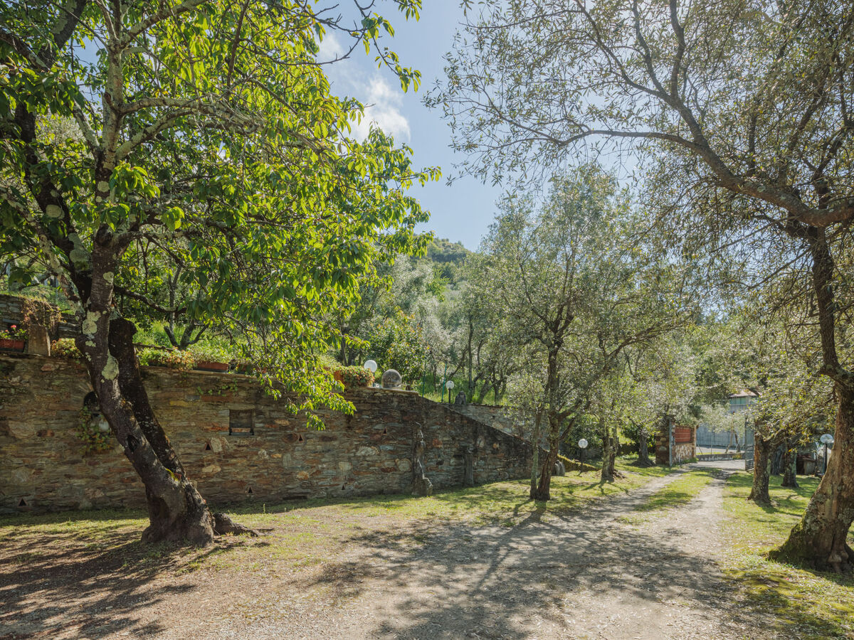 Casali, maison 5 chambres avec vue mer en Toscane - Photo 37