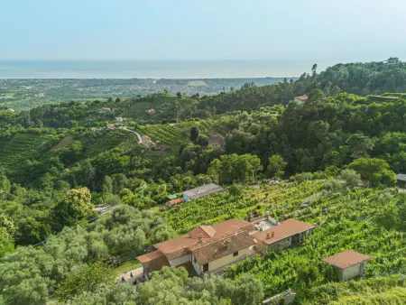 Casali, maison 5 chambres avec vue mer en Toscane - Photo 3