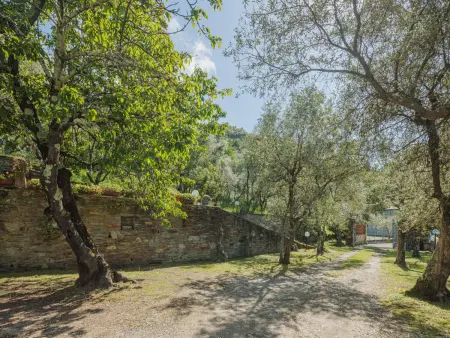 Casali, maison 5 chambres avec vue mer en Toscane - Photo 36