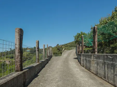 Casali, maison 5 chambres avec vue mer en Toscane - Photo 39