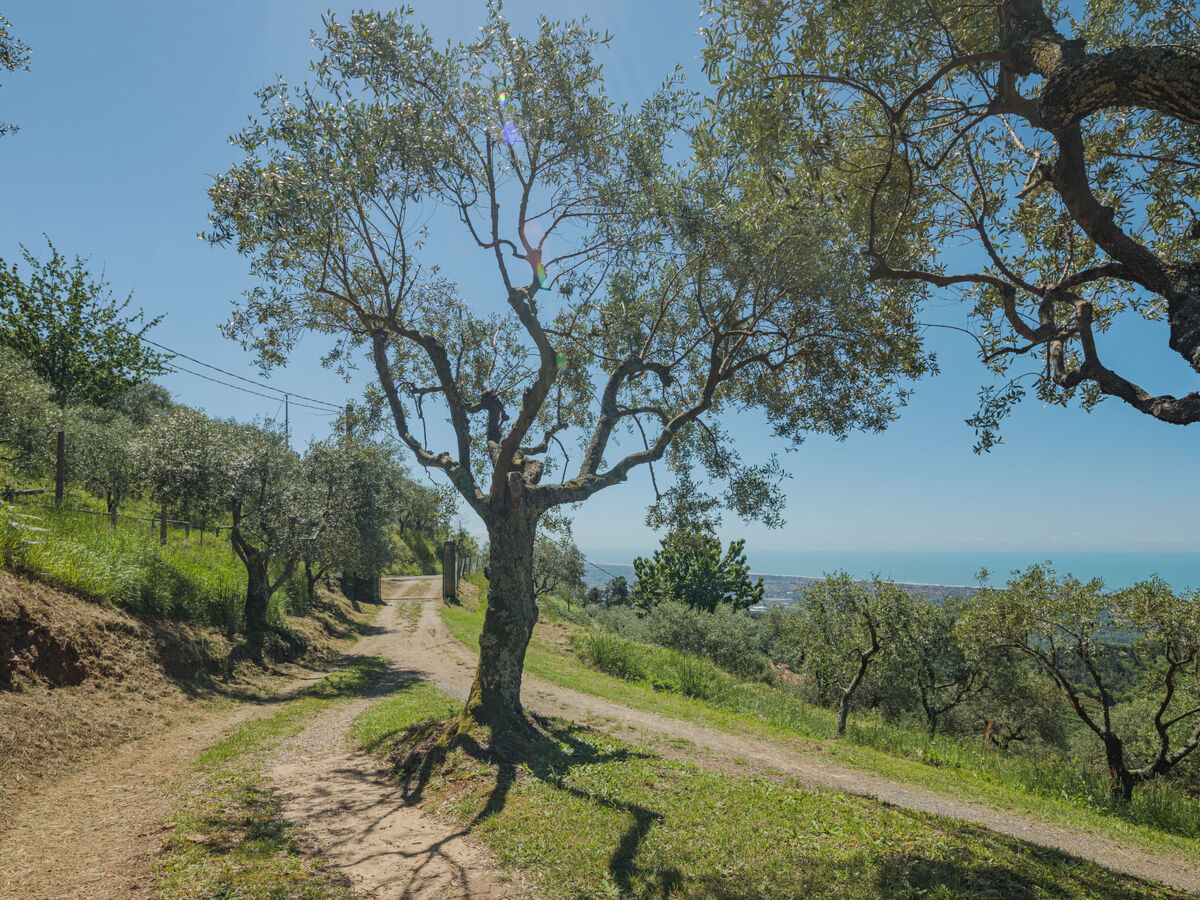 Maison Di Carlino avec vue panoramique sur la Riviera - Photo 30