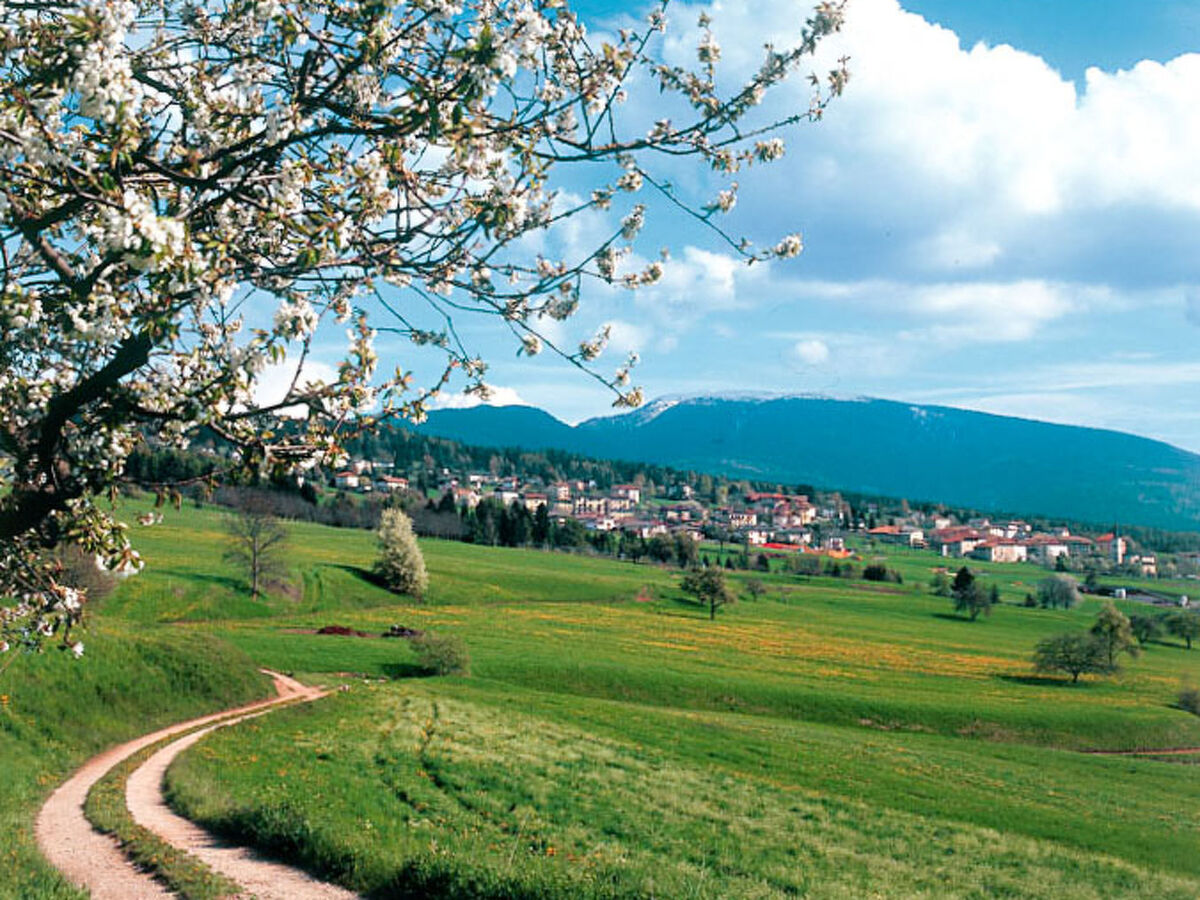 Belfiore - Appartement Vue Panoramique Valle di Non - Photo 14