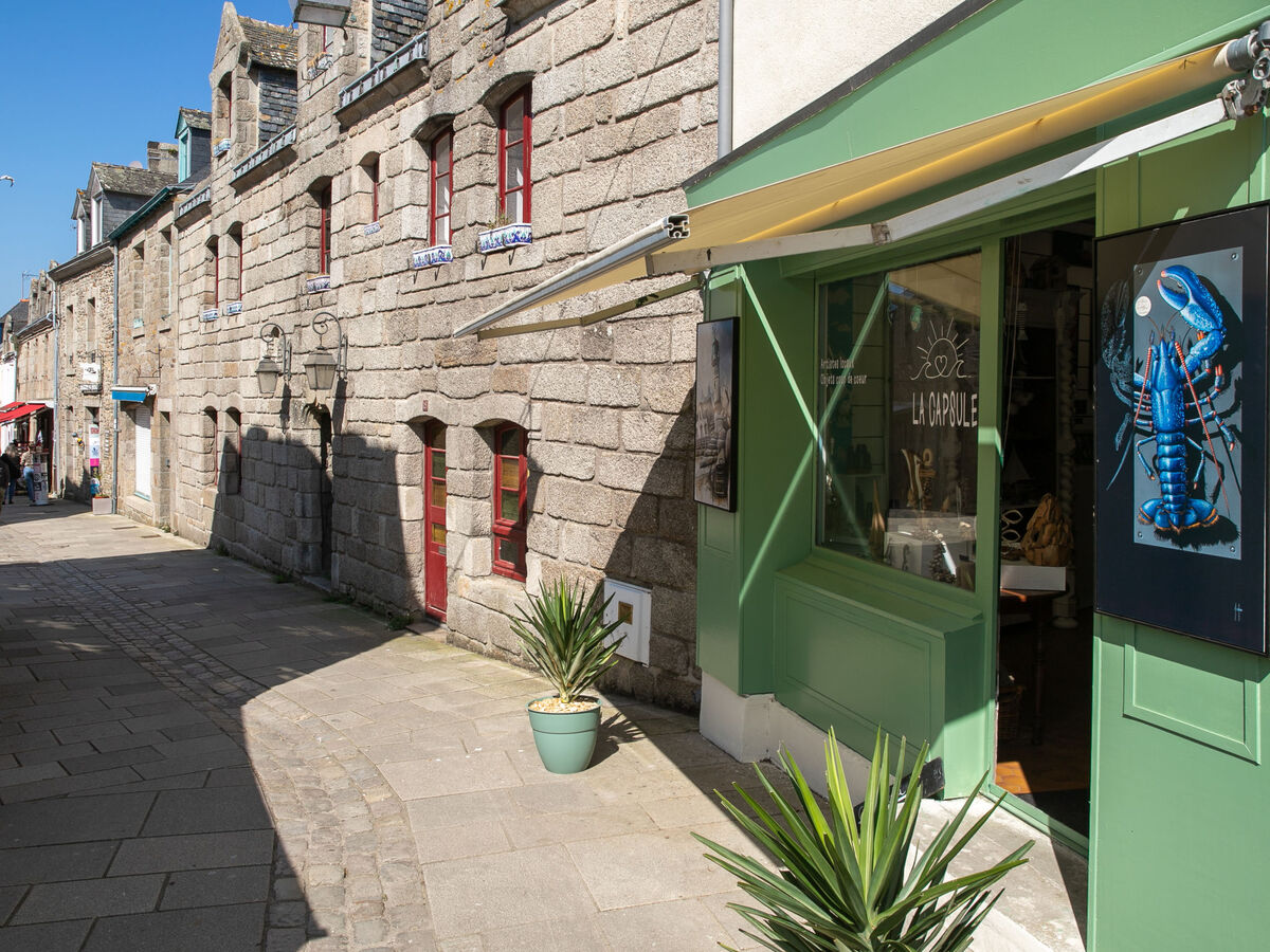 Bungalow Gîte au Jardin à Concarneau, 500 m de la mer - Photo 23