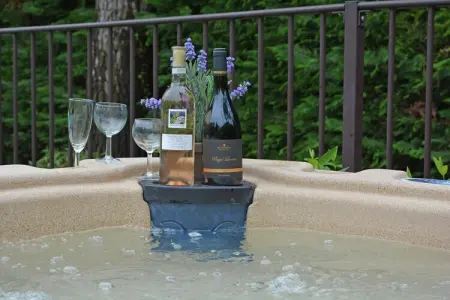 Chez l'antiquaire, Villa en France avec Piscine et Vignobles - Photo 33