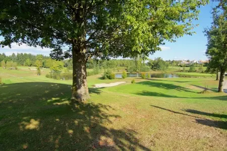 La Caleche, Gîte confortable à Roussines, Dordogne - Photo 25
