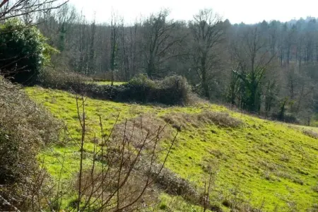 La Caleche, Gîte confortable à Roussines, Dordogne - Photo 27