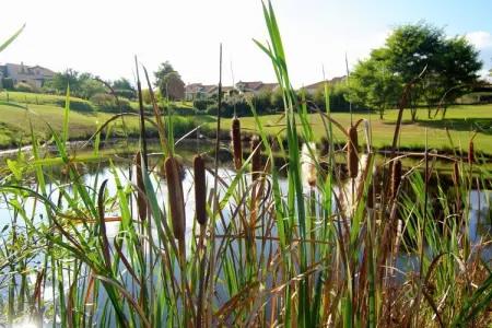 La Belle Vue, Tour Romantique en Dordogne avec Terrasse - Photo 25