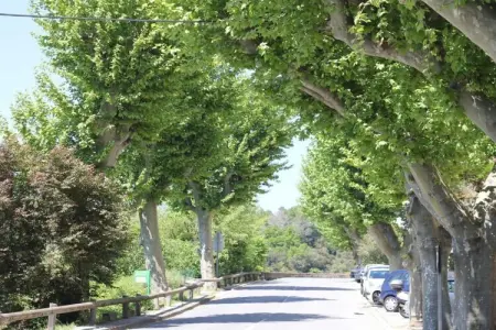 La Bagnolette, Villa à Bagnols avec Piscine & Parcs - Photo 30