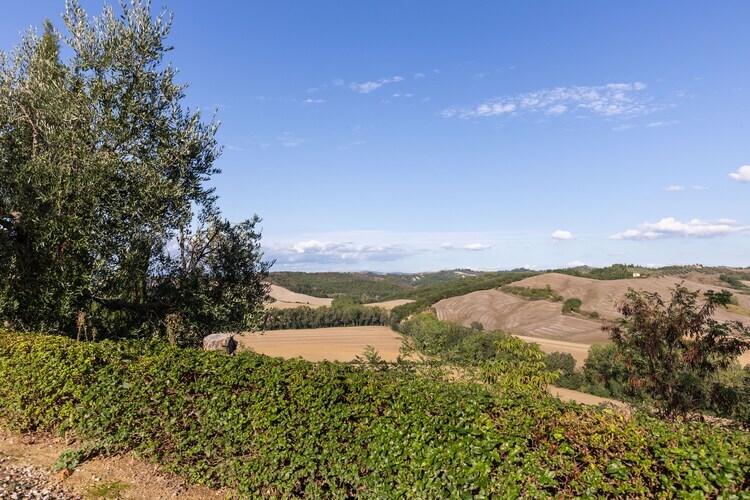Gite Matilde - Ferme toscane avec piscine à Buonconvento - Photo 10