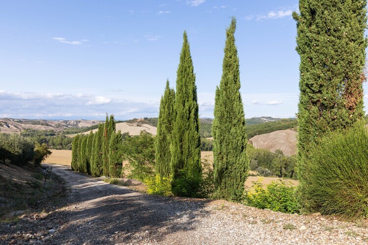 Gite Matilde - Ferme toscane avec piscine à Buonconvento - Photo 26