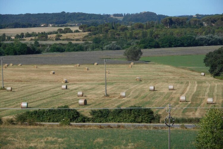 Gite Matilde - Ferme toscane avec piscine à Buonconvento - Photo 31