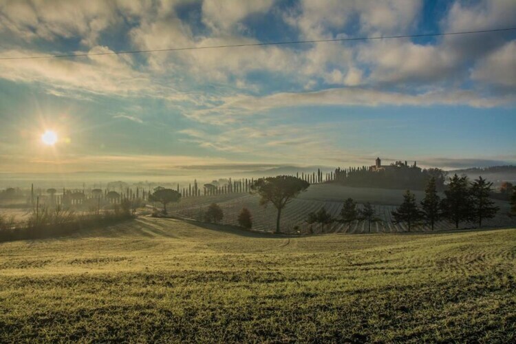Gite Matilde - Ferme toscane avec piscine à Buonconvento - Photo 34