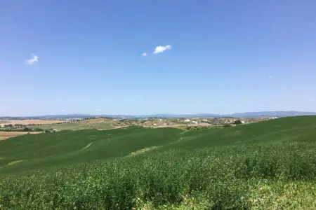 Ferme Angel en Toscane - 4 personnes, piscine : photo 29
