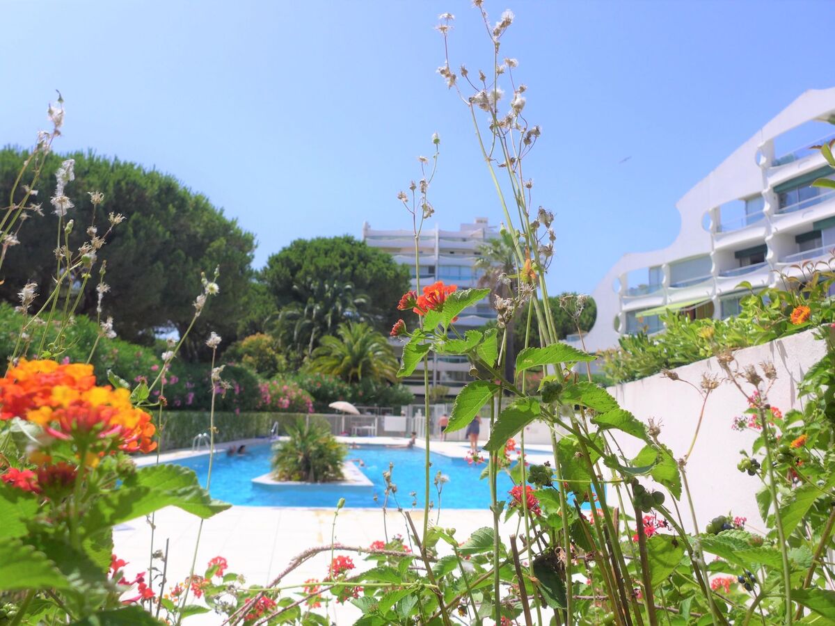Fleurie I – Studio 25 m² avec terrasse sud à La Grande Motte - Photo 5