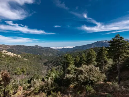 Maison mitoyenne à Ghisonaccia, vue sur les montagnes : photo 30