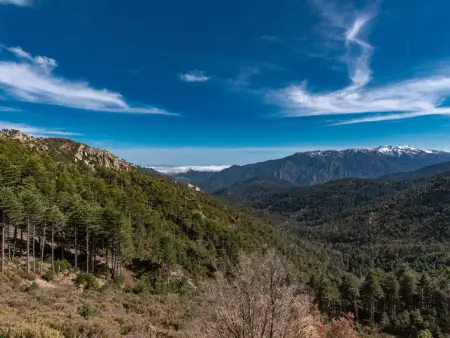 Maison mitoyenne à Ghisonaccia, vue sur les montagnes : photo 31