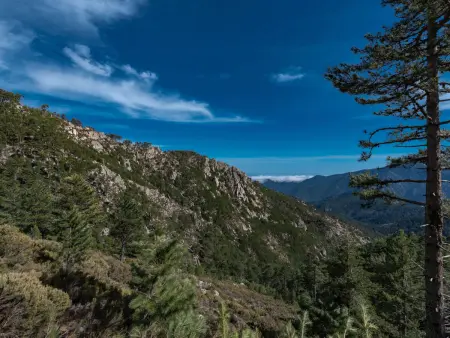 Maison mitoyenne à Ghisonaccia, vue sur les montagnes : photo 32