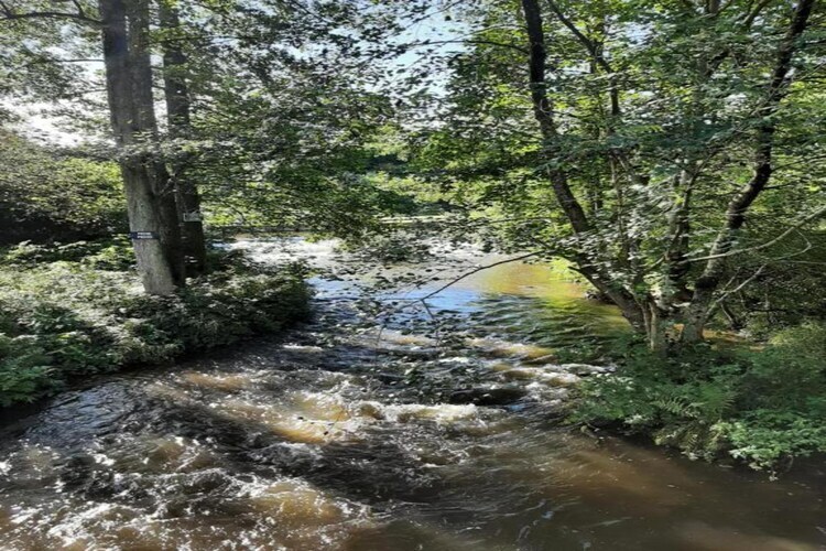 Gîte Li Vêrt Veschau - Ferme 6 pers. à Sohier - Photo 38