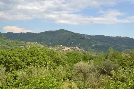 Gîte Olivi Rosso, cottage toscane avec piscine : photo 9