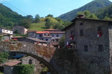 Gîte Olivi Rosso, cottage toscane avec piscine : photo 37