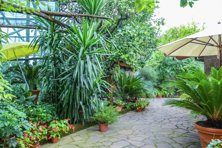 Maison Giglio : jardin à Sorrente, 2 km de la mer - Photo 28