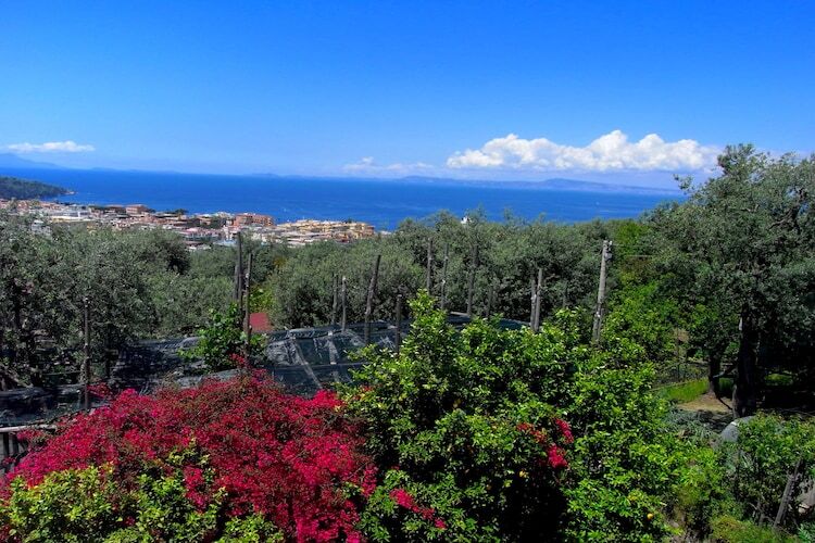Maison Giglio : jardin à Sorrente, 2 km de la mer - Photo 30