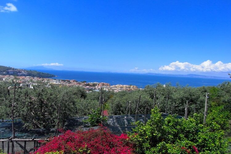 Edera - Maison 1700 avec jardin à Sorrento - Photo 30