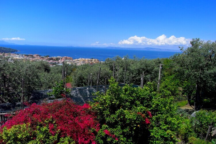 Rosa, maison rustique à Sorrente avec jardin partagé - Photo 21