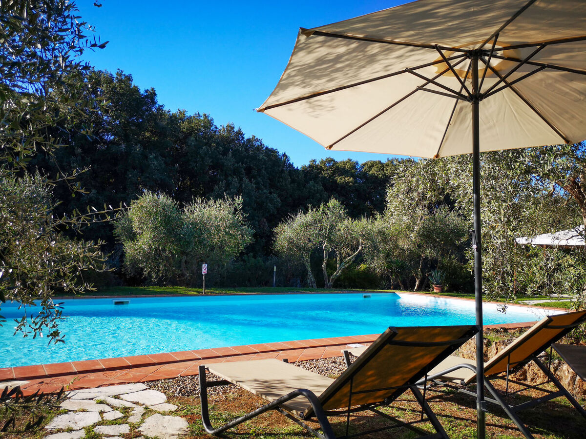 Il Boschetto – Maison rustique à Sienne, vue forêt - Photo 3