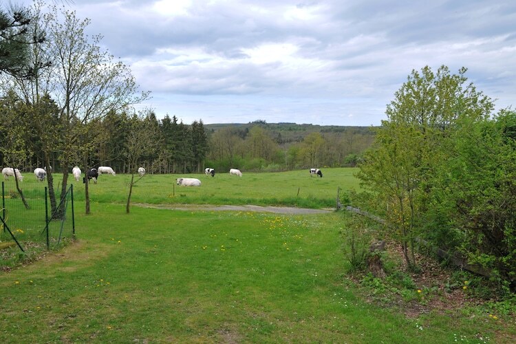 Au Nid d'Houyet – Maison 14 pers., sauna et vue château - Photo 25