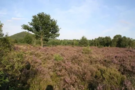 Het Bloesemklooster – Monastère pour 28 personnes : photo 36