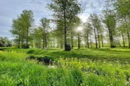 Het Bloesemklooster – Monastère pour 28 personnes : photo 39