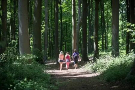 Het Bloesemklooster – Monastère pour 28 personnes : photo 40