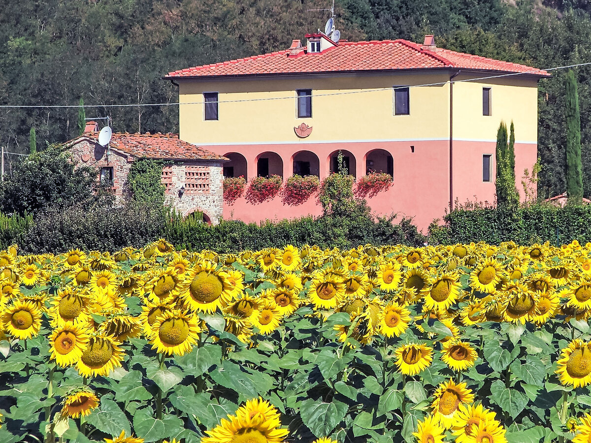 Tara, gîte en ancienne grange toscane avec piscine - Photo 20