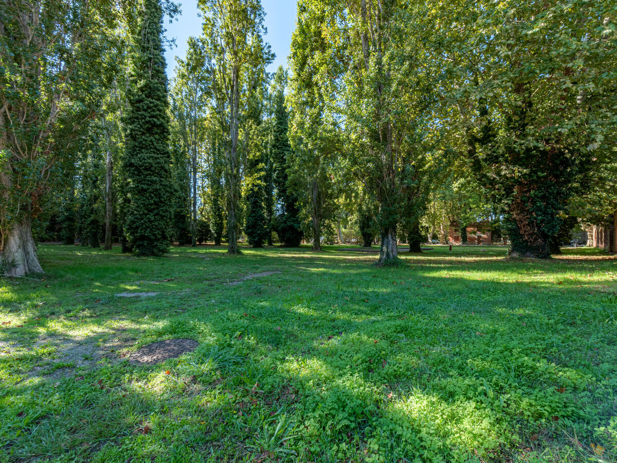Studio 25 m² Les Bastides de Grand Stade, Saint Cyprien - Photo 20