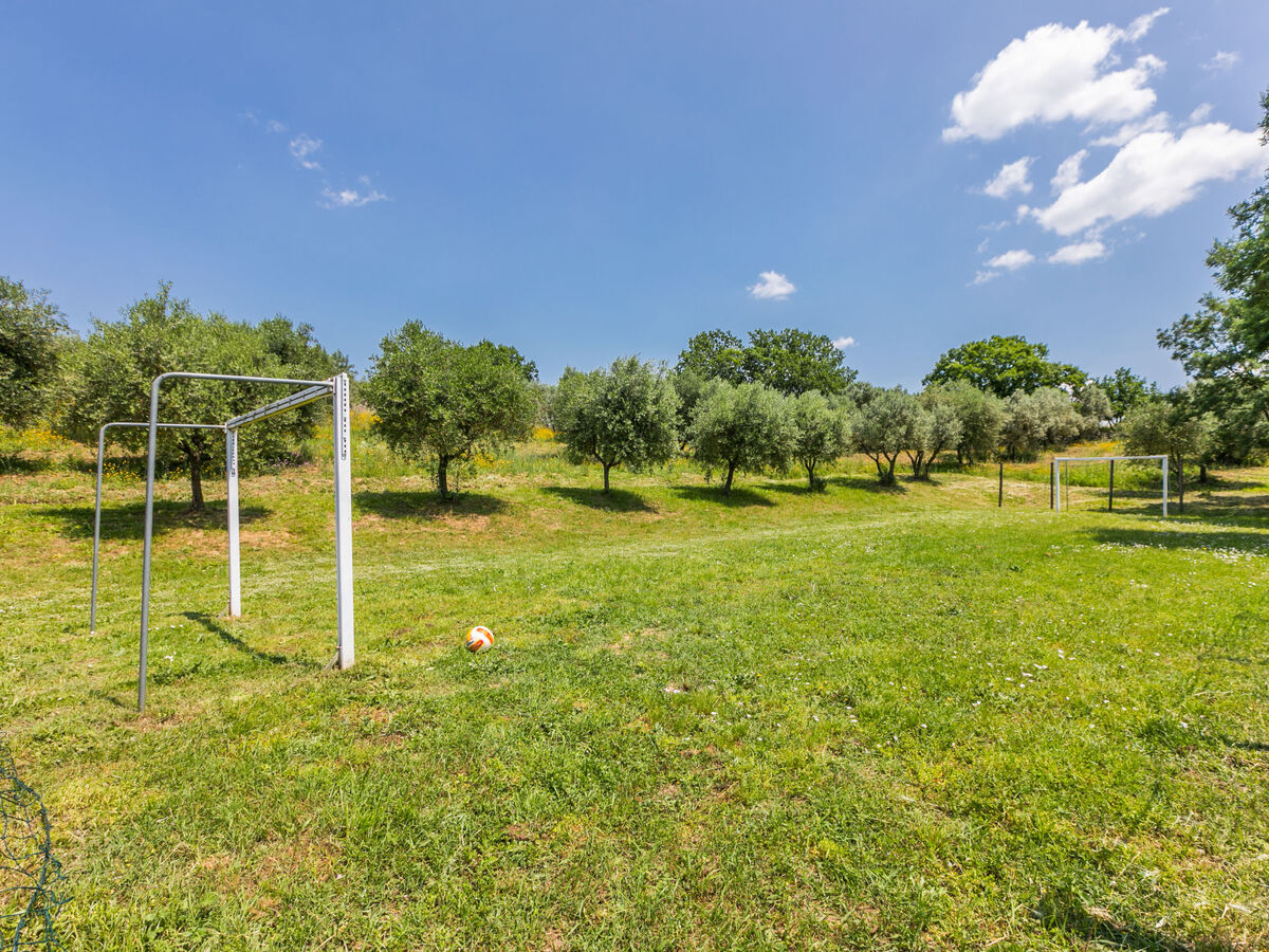 Gîte Montereggi, 4 pers., piscine et 100 ha à Vinci - Photo 25